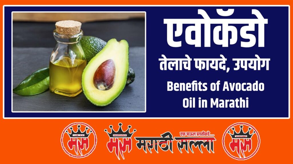Benefits of Avocado Oil in Marathi