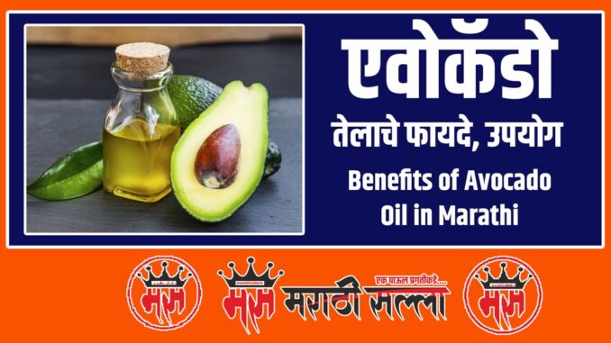 Benefits of Avocado Oil in Marathi Benefits of Avocado Oil in Marathi