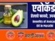 Benefits of Avocado Oil in Marathi